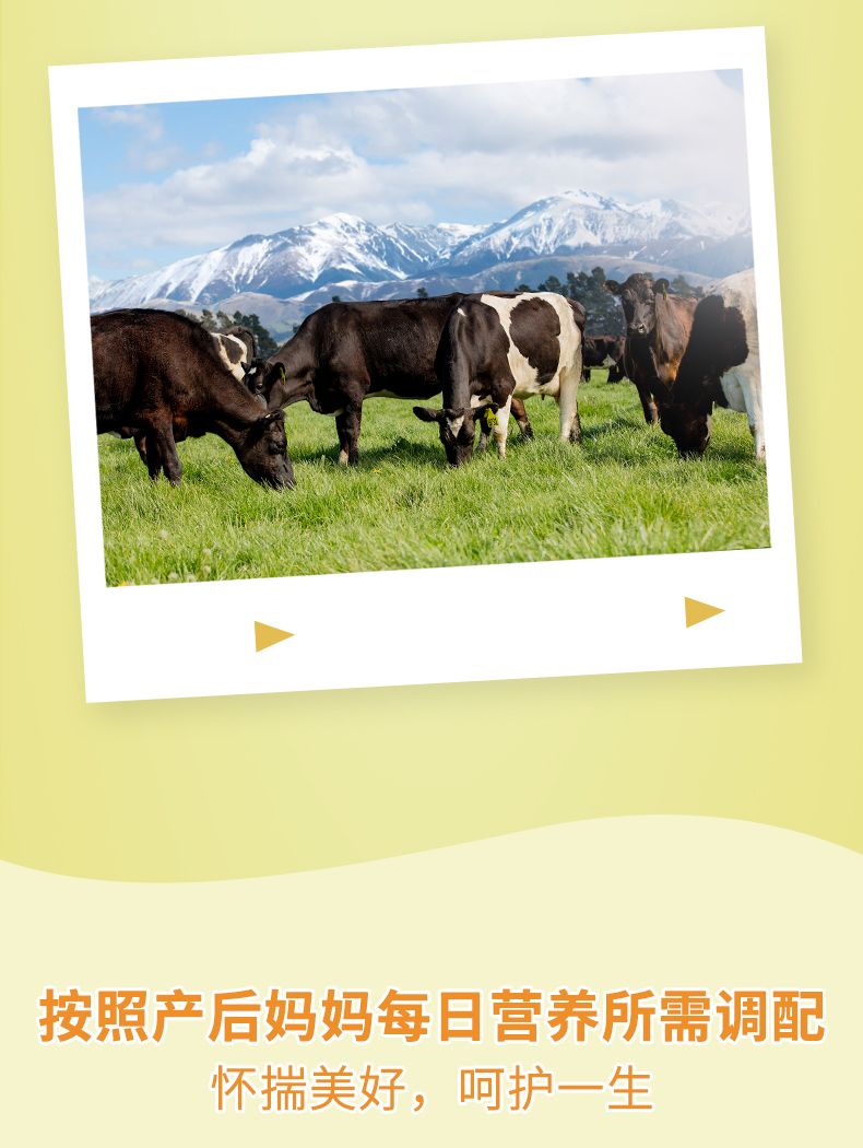 曼可伊產后罐裝-790_09.jpg